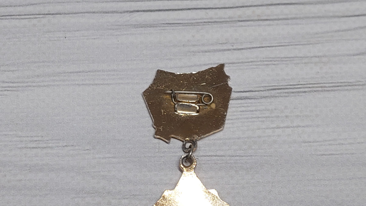 badge 30 years of the Order of Kutuzov.