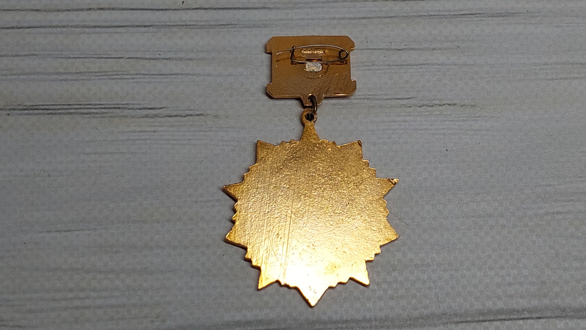 Badge southwest third ukrainian front, badge veteran of the USSR.