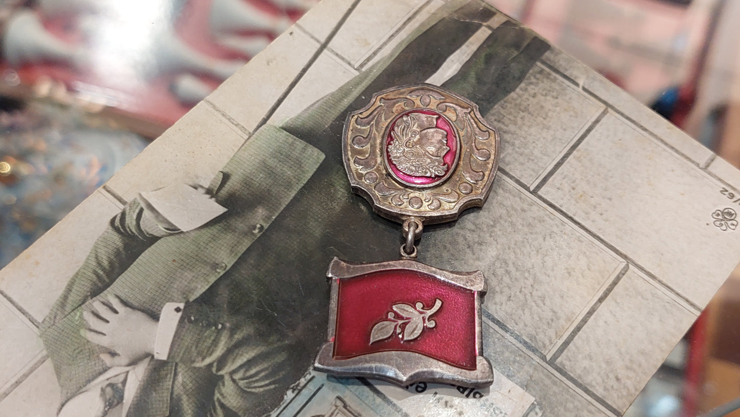 Silver plated badge for the collection. Honored Worker of Science and Technology of Ukraine.