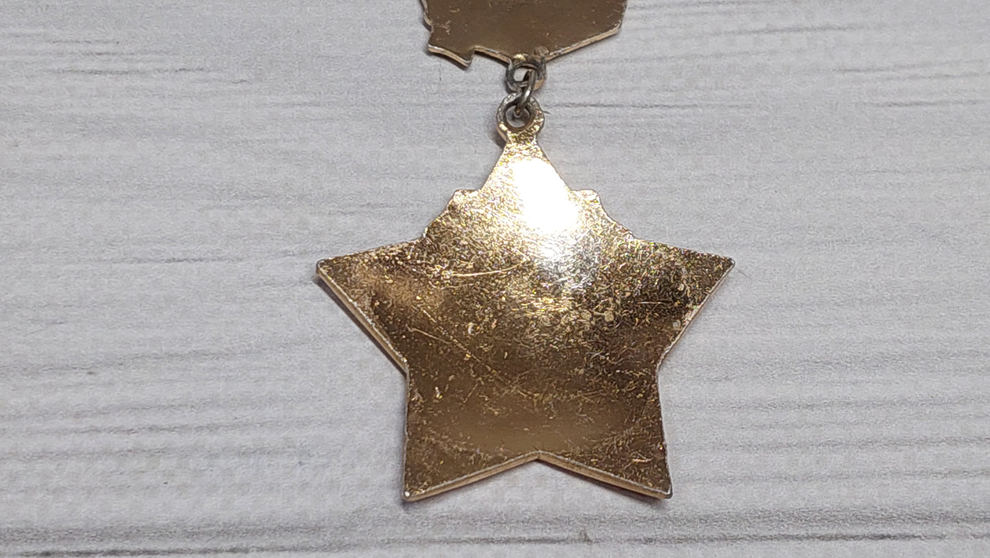 badge 30 years of the Order of Kutuzov.