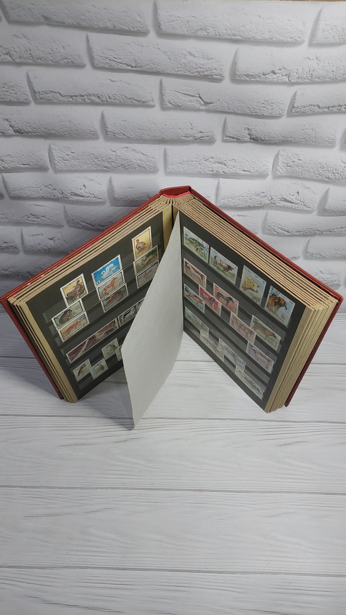 A large collection album with USSR stamps.