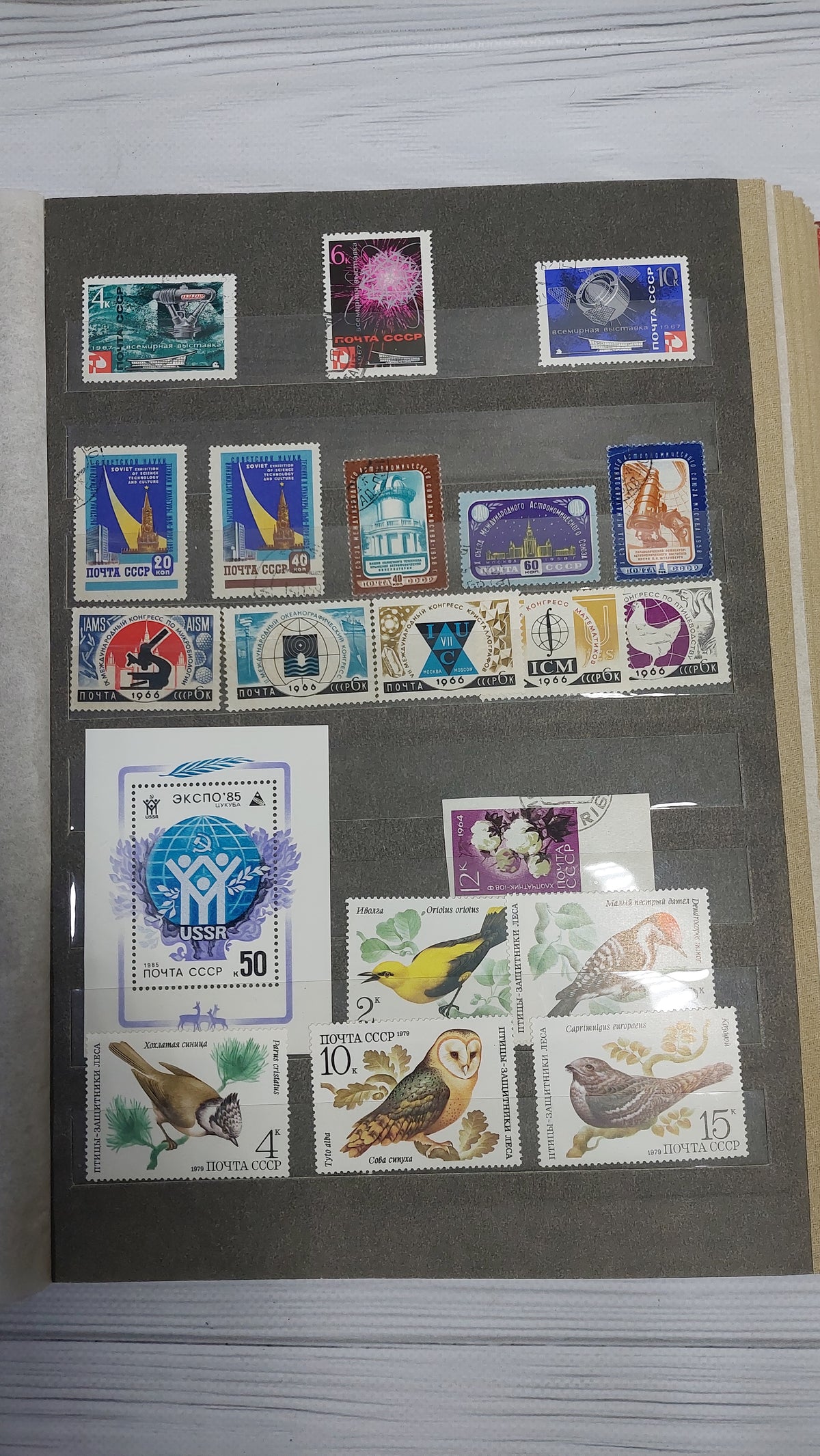 A large collection album with USSR stamps.