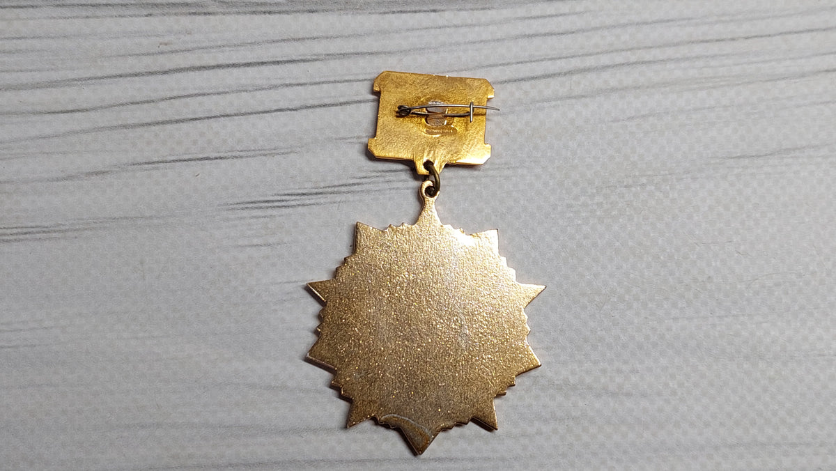 Badge Southern Fourth Ukrainian Front, Badge Veteran USSR.