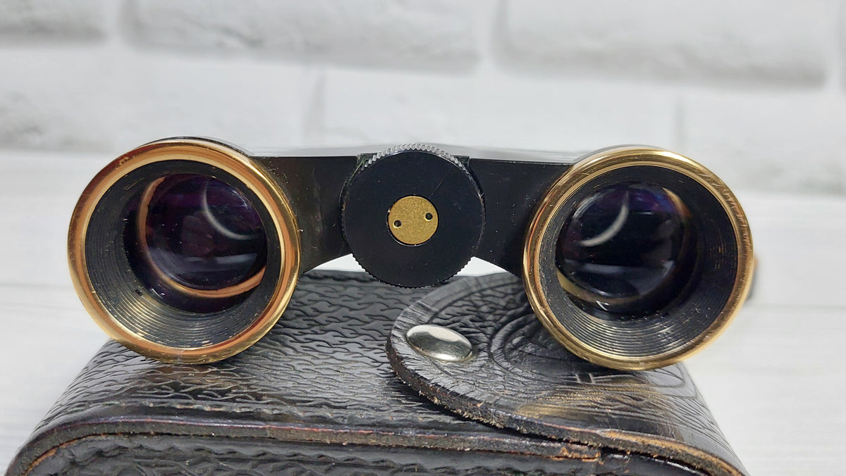 theater binoculars , - Antique opera binoculars - Pocket binoculars in a case