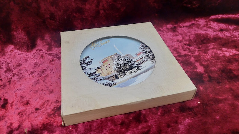 souvenir plate Ukrainian Zaporozhye NPP nuclear power plant