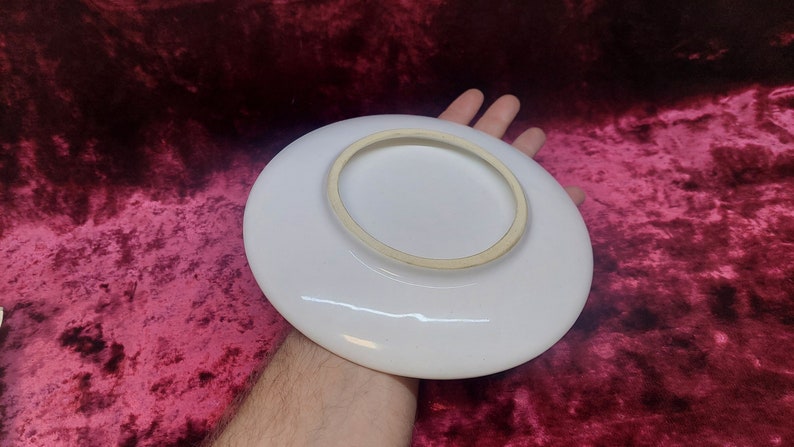 souvenir plate Ukrainian Zaporozhye NPP nuclear power plant